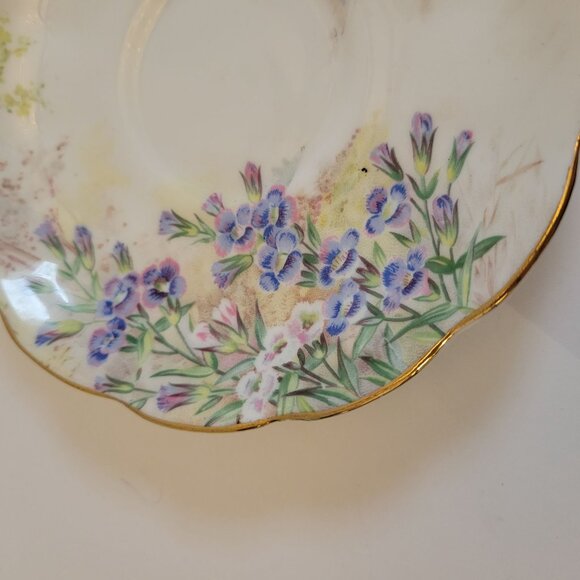 Vintage Royal Albert Bone China Cup & Saucer Set - Picture 6 of 12